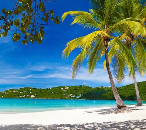 fyc_car_04_mobile Mobile Image