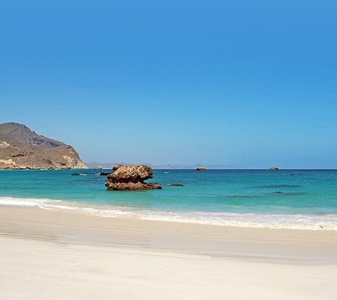 fyc_gv_09_mobile Mobile Image