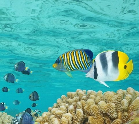 fyc_gv_15_mobile Mobile Image