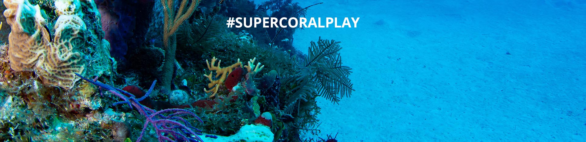 A vibrant coral reef with #SuperCoralPlay text promoting marine conservation | MSC Cruises A vibrant coral reef with #SuperCoralPlay text promoting marine conservation | MSC Cruises