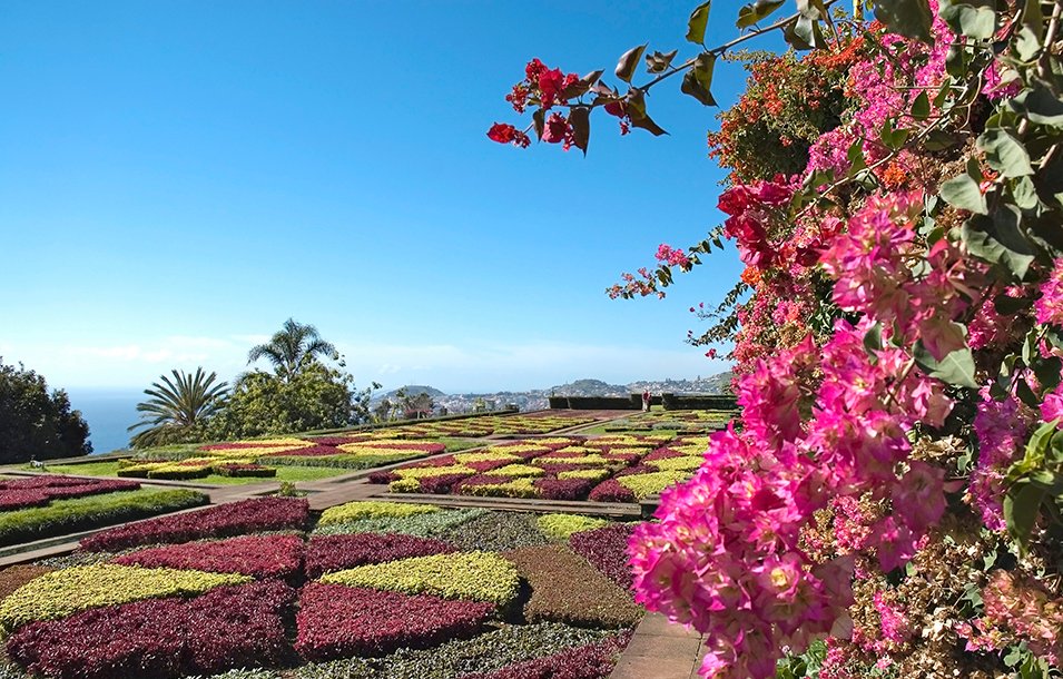 Madeira Cruises, Funchal | MSC Cruises