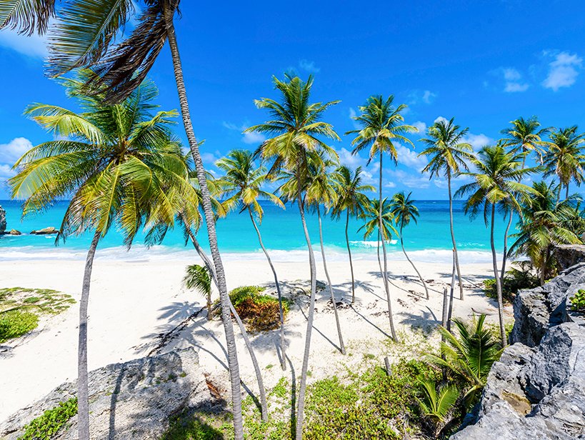 Caribbean & Antilles | MSC Cruises