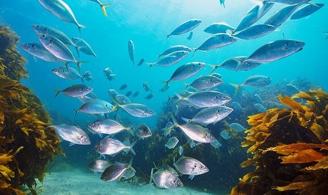 sustainability_640x380_msc18017478 sustainability_640x380_msc18017478
