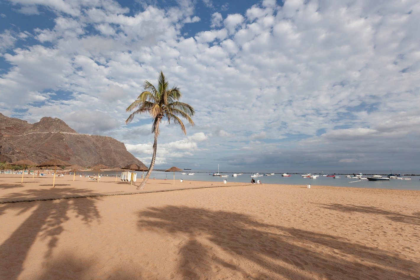 A serene beach with a palm tree, mountains, and anchored boats under a cloudy sky | MSC Cruises