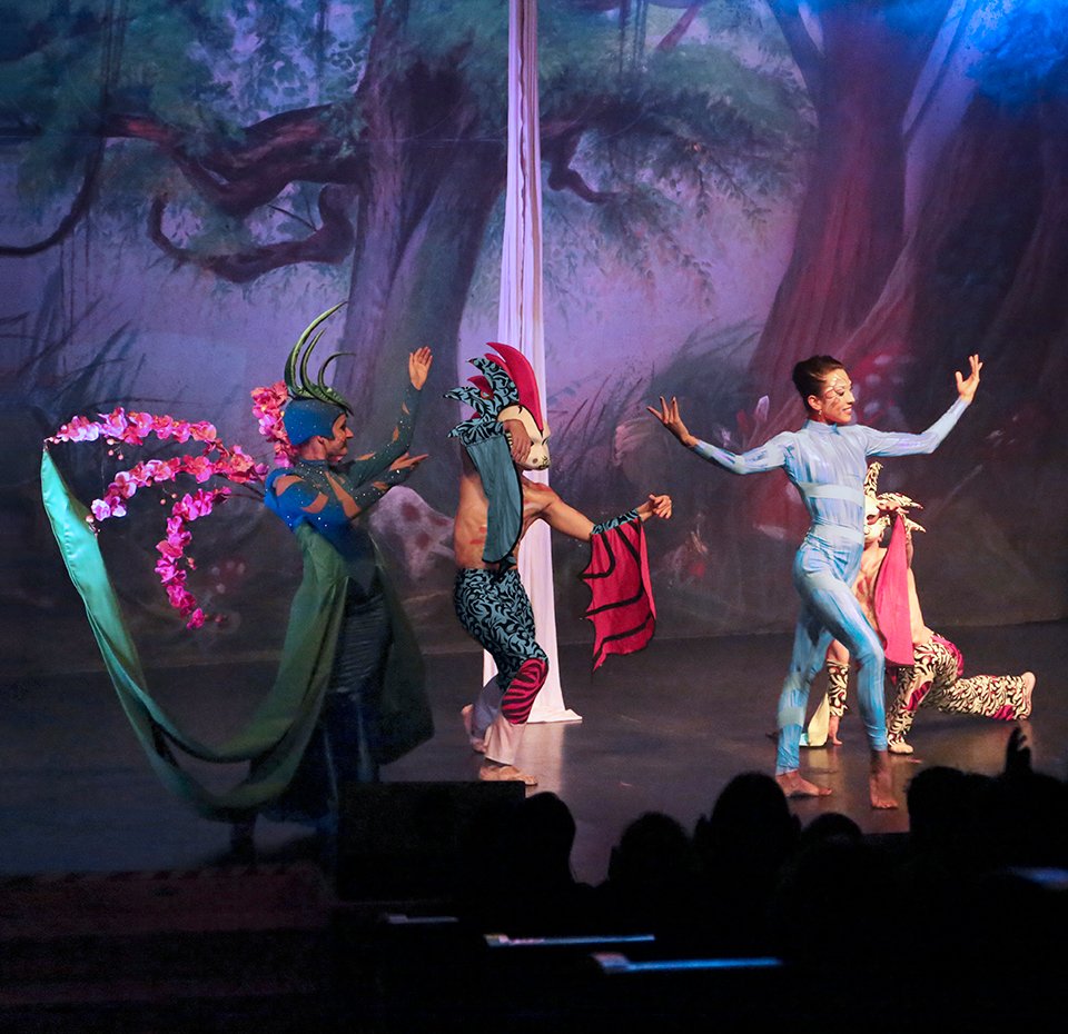 MSC Armonia, Entertainment Theatre Shows | MSC Cruises